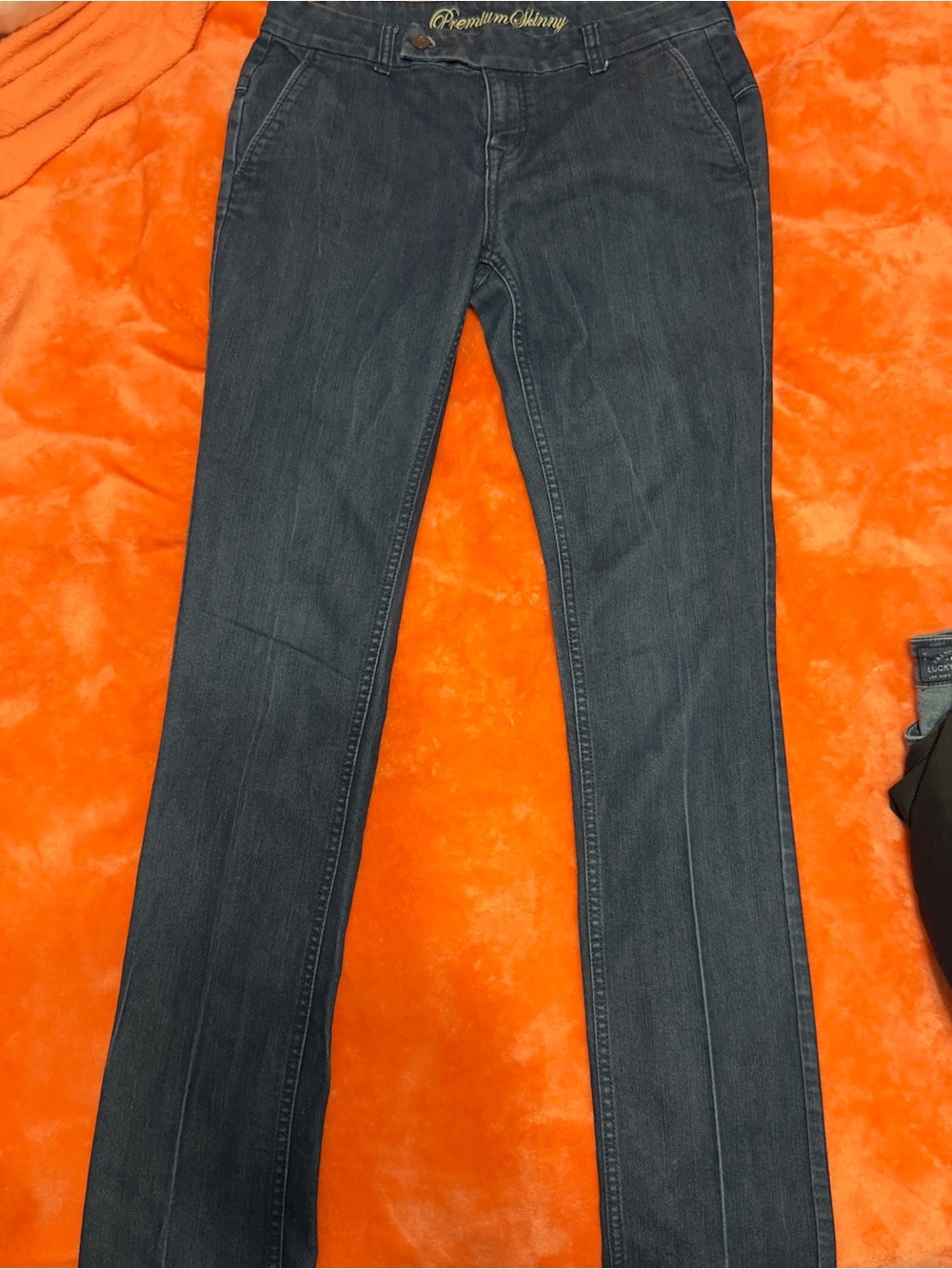 Lucky Brand Women's Skinny Jeans in Dark Blue